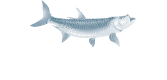 Cheeca Lodge & Spa Logo